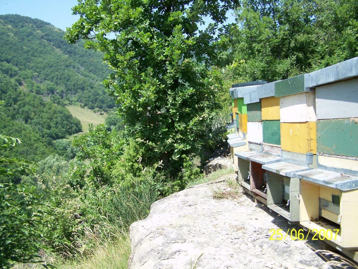 Agriturismo PEDROSOLA Brisighella Esterno foto